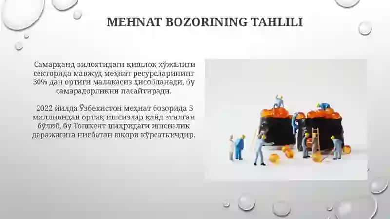 Mehnat resurslari va mehnat salohiyati 4