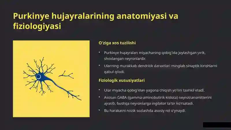 Miyachada Neyronlararo Aloqalar va Purkinye Hujayralari: Kirish 4