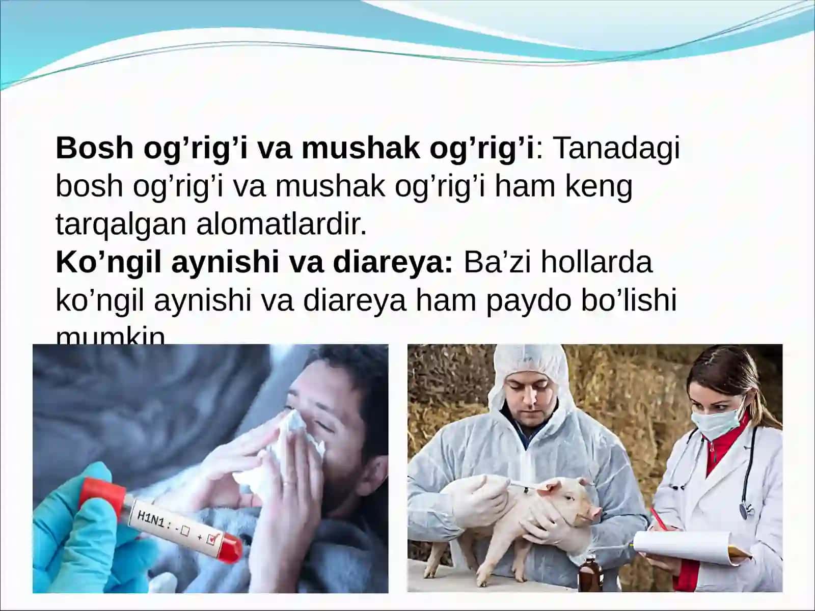 Paranda va cho'chqa grippi vurusi, va ularning hozirgi kundagi muammolari keltirib chiqaruvchi kasalliklari va laboratoriya tashhisi 4
