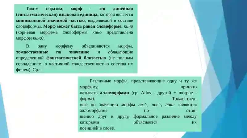 Особенности морфем и их вариантов в организации слова 4