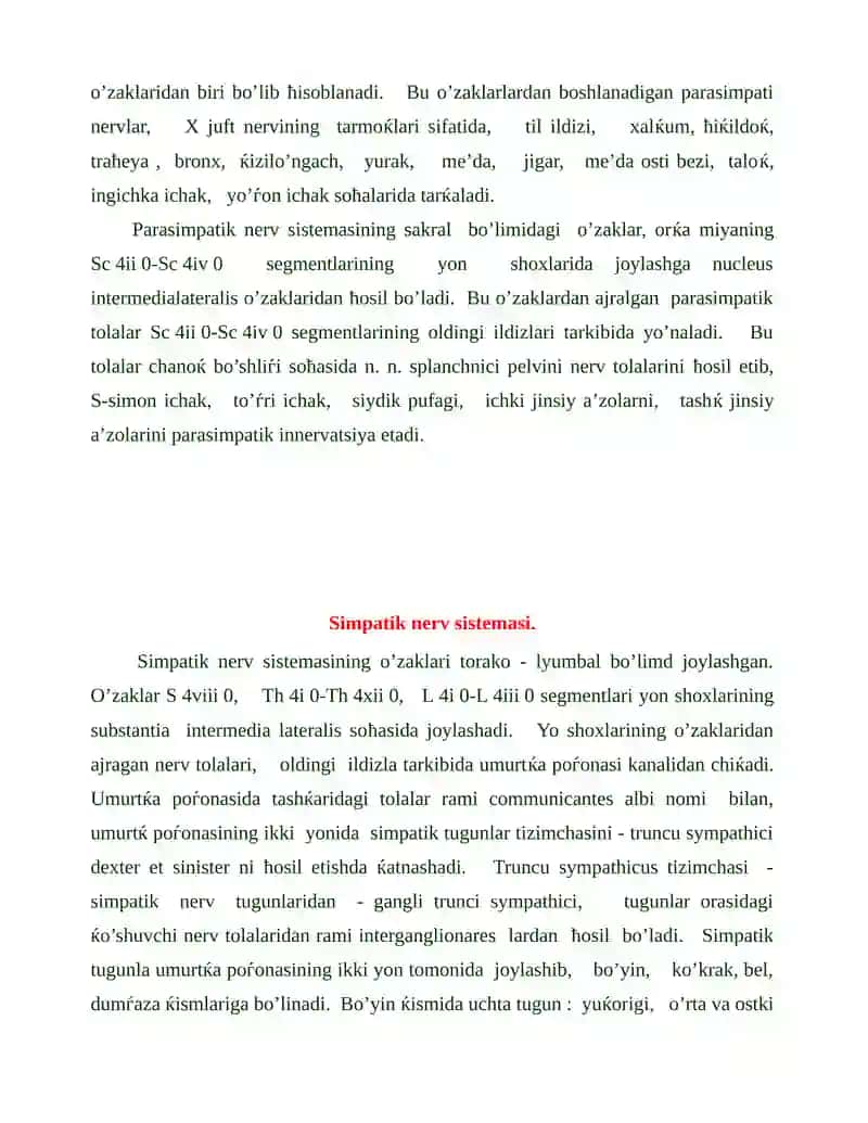Vegetativ nerv tizimining funktsional anatomiyasi 4