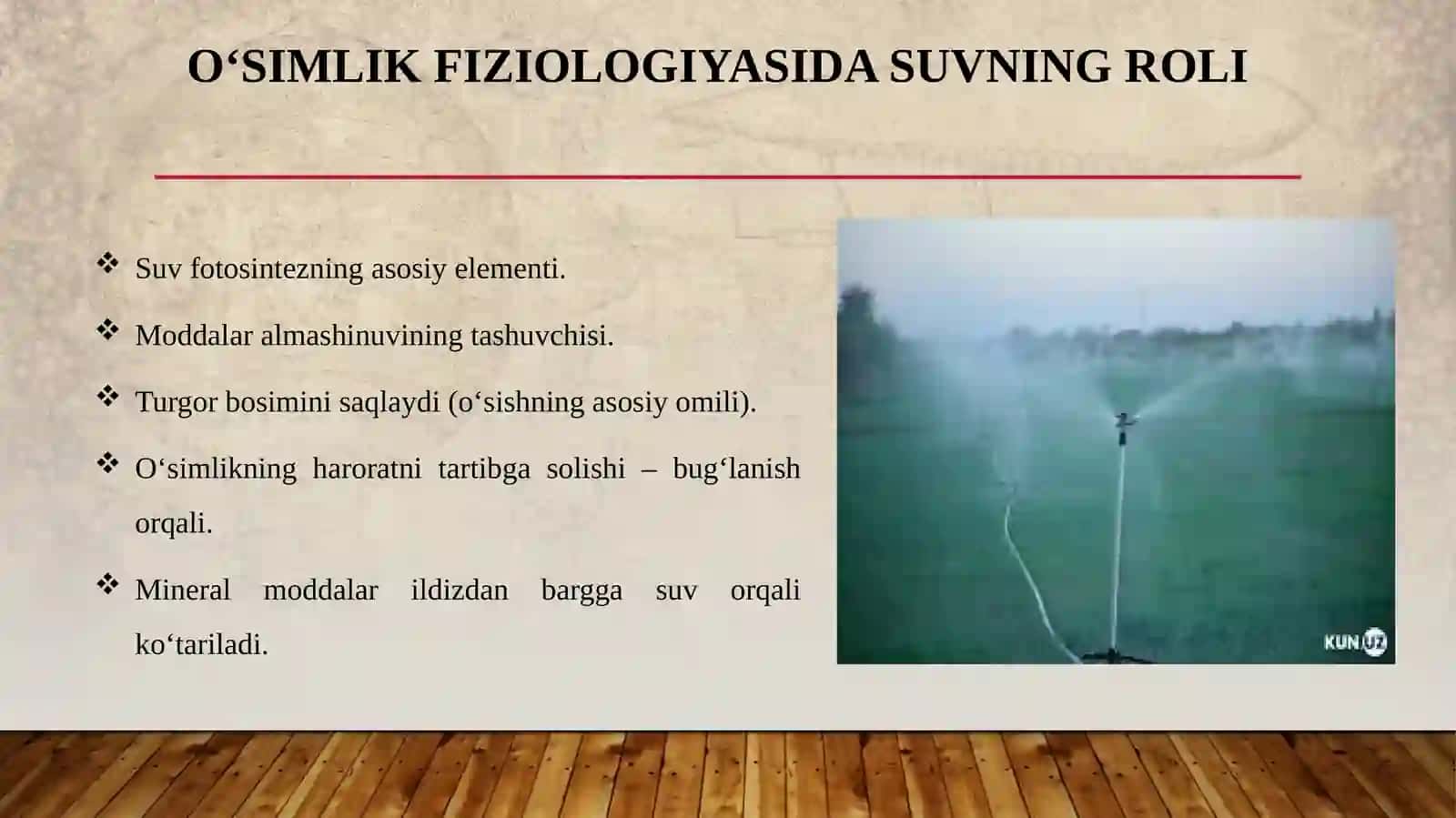 Sirtqi taʼlim biologiya yoʻnalishi 4