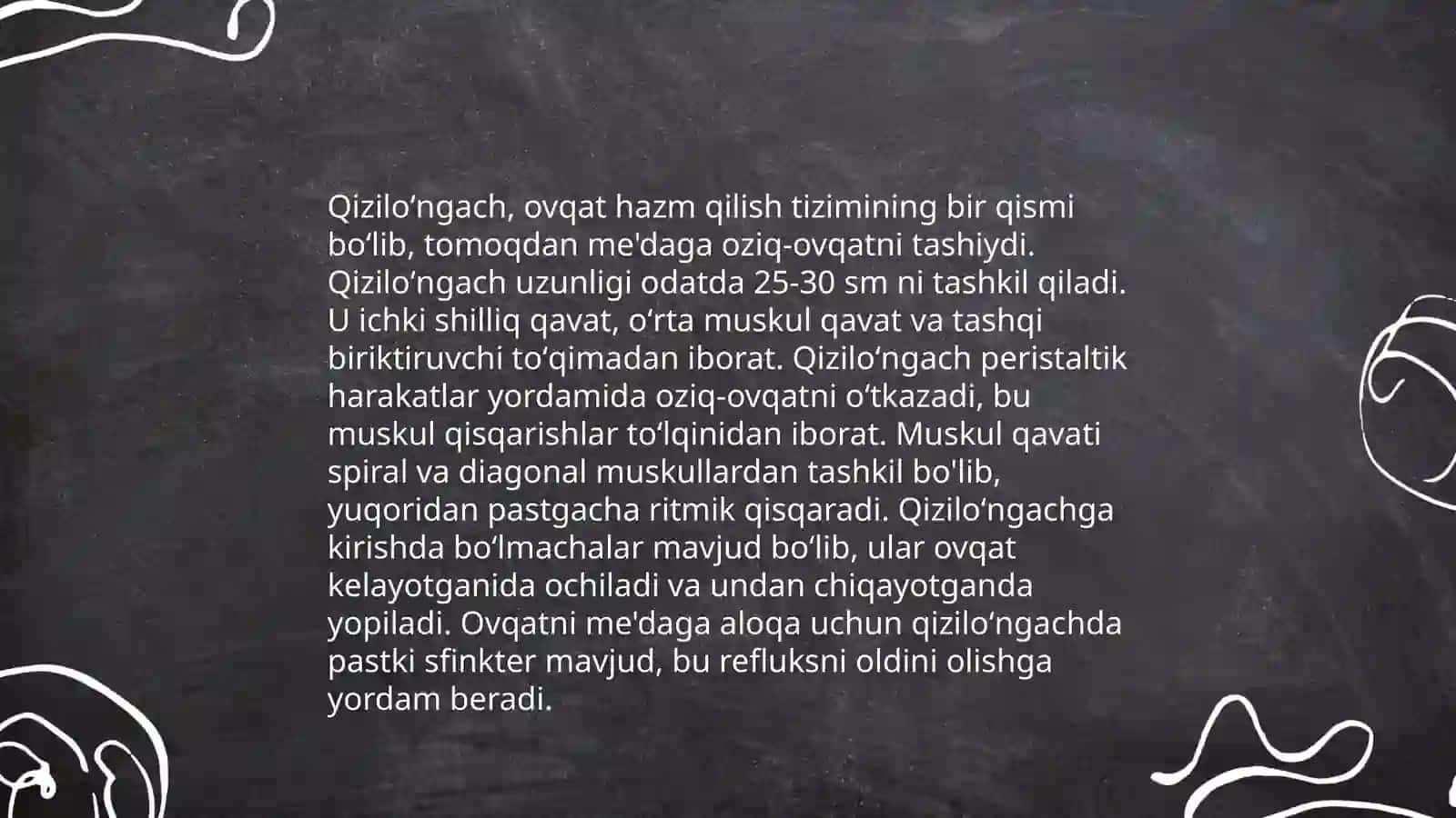 Qiziloʻngach Anatomiyasi 4