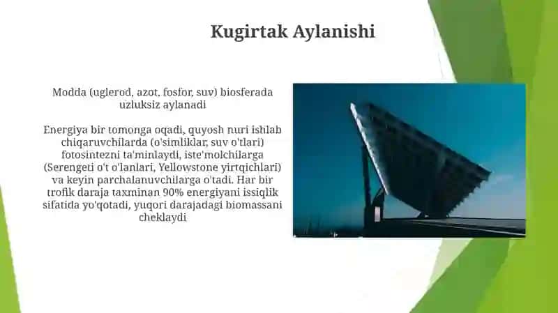 Biosferada modda va energiyaning aylanma harakati 4
