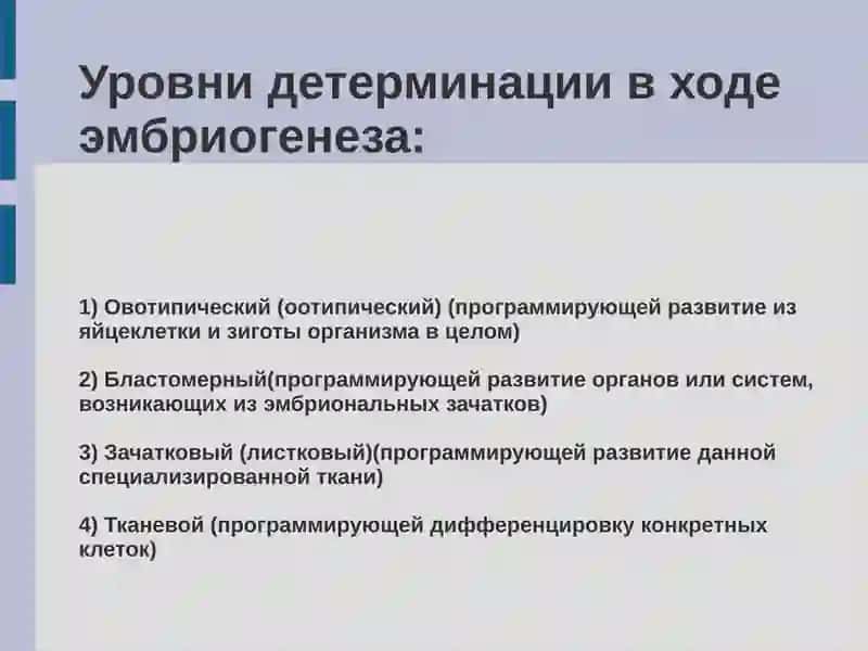 ДЕТЕРМИНАЦИЯ ЦИТОЛЕФФЕРЕНЦИРОВКА И МОРФОГЕНЕЗ 4