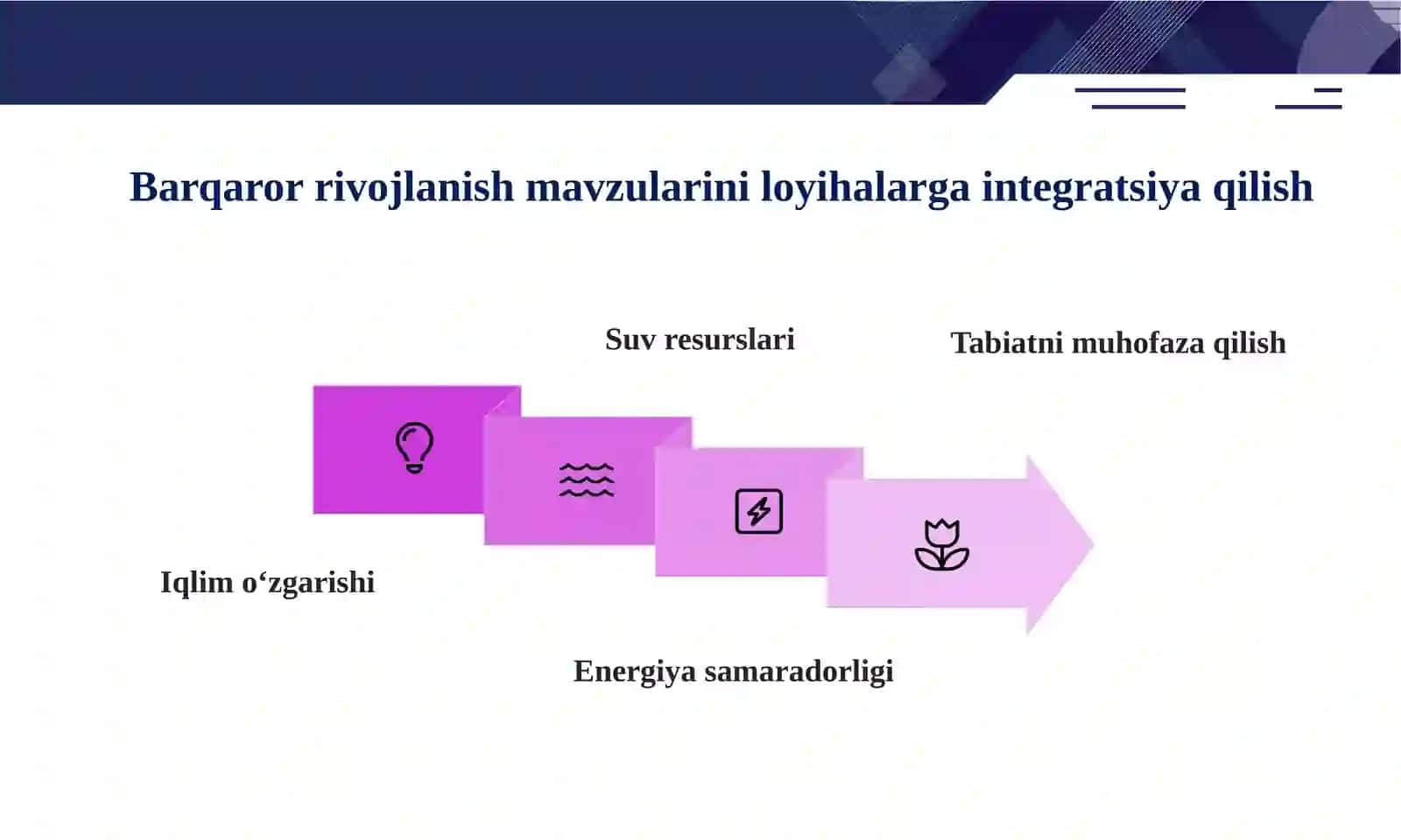Barqaror rivojlanish ta’limi asosida tabiiy fanlarda loyiha ishlarini tashkil etish 4