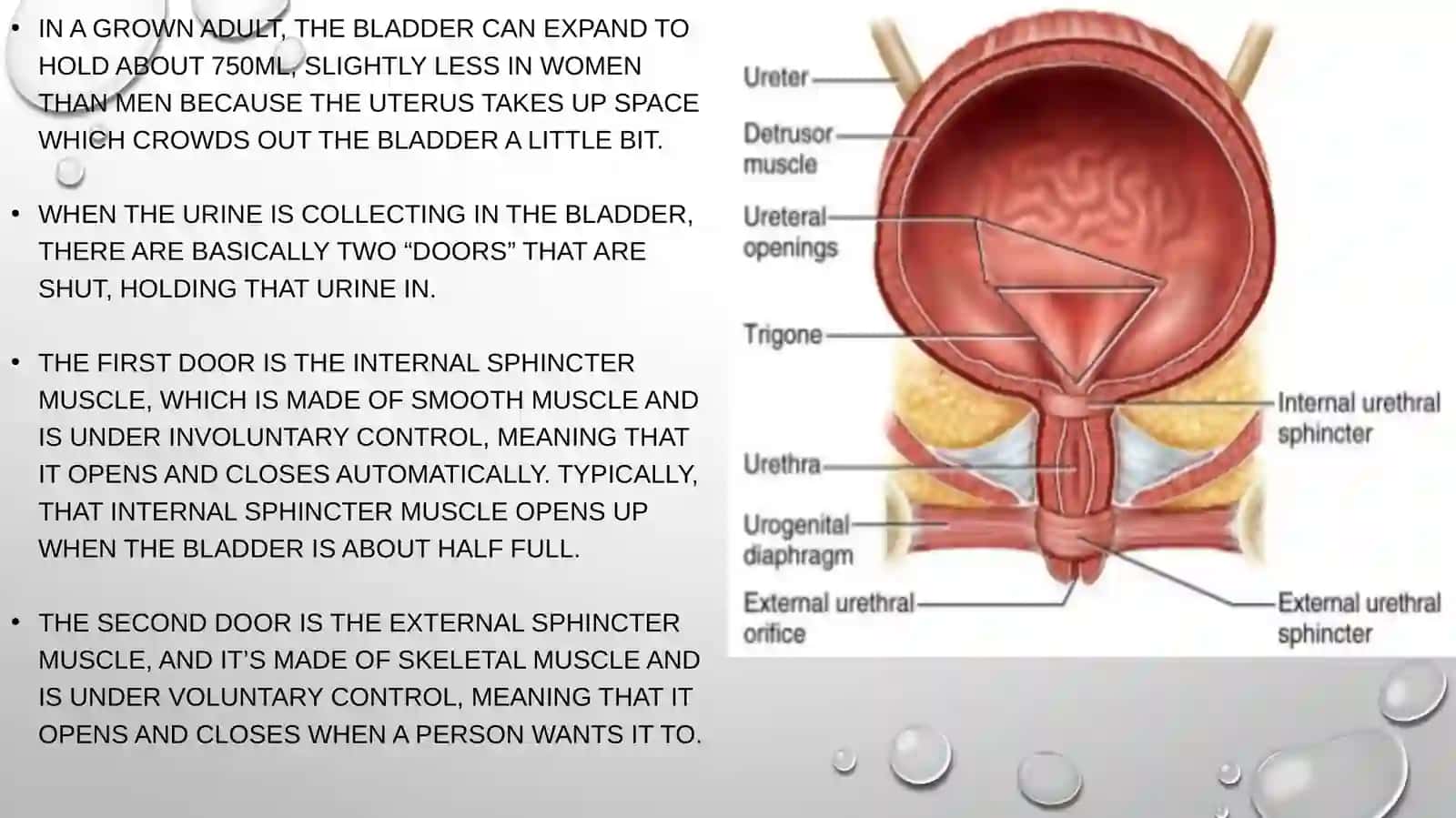 URINARY INCONTINANCE 4