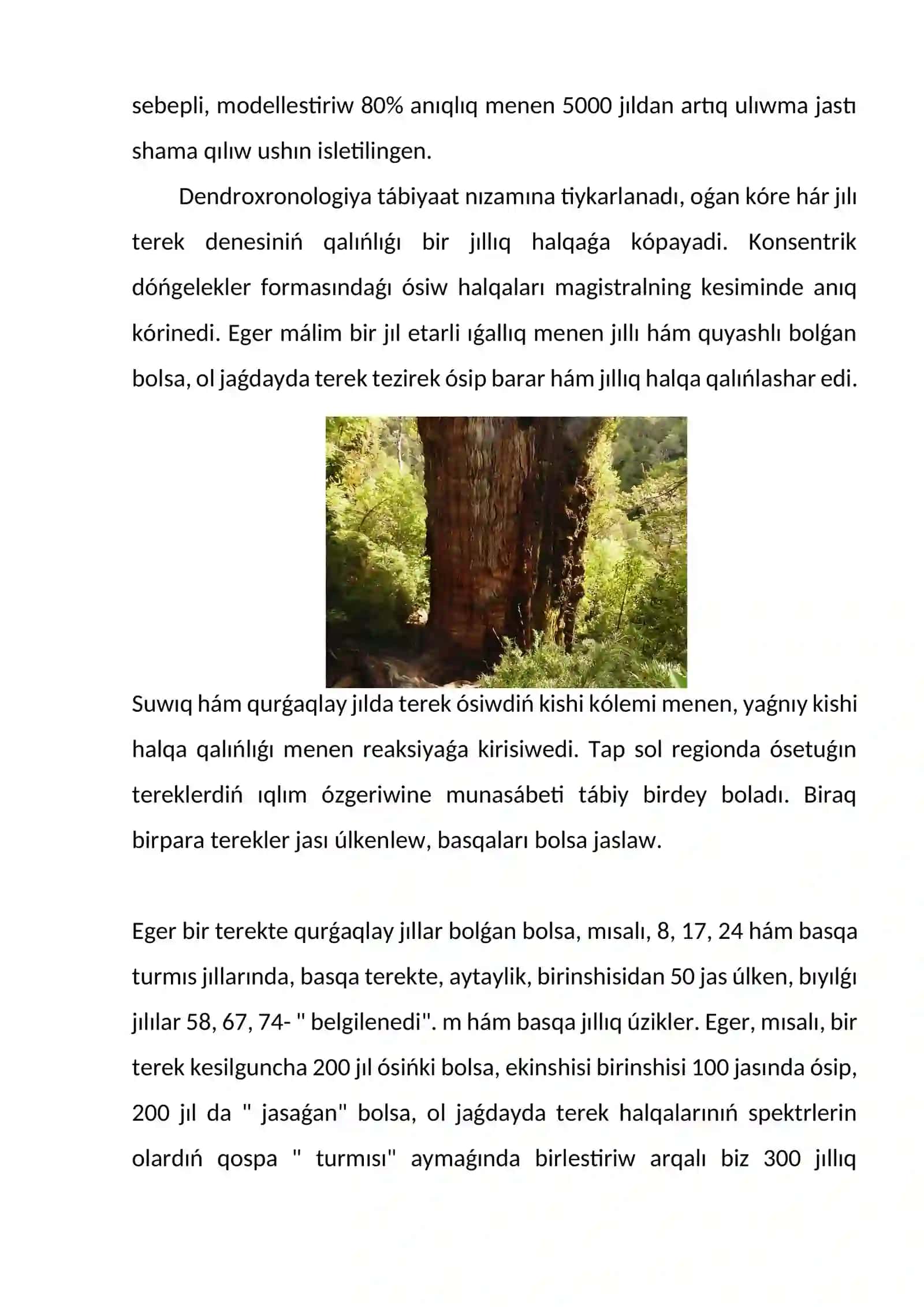 Arxeologiyaliq da'wirlestiriwde Dendroxronologiyaliq ha'm spora-gu'lshan' usıllarınin' qollanılıwı 4