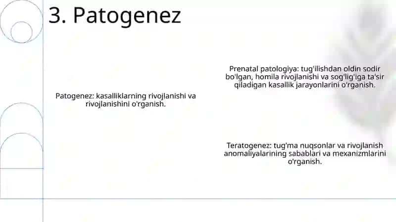Muxim Axamiyatga Ega Tugma Nuqsonli Rivojlanishlar Patomorfologiyasi 4