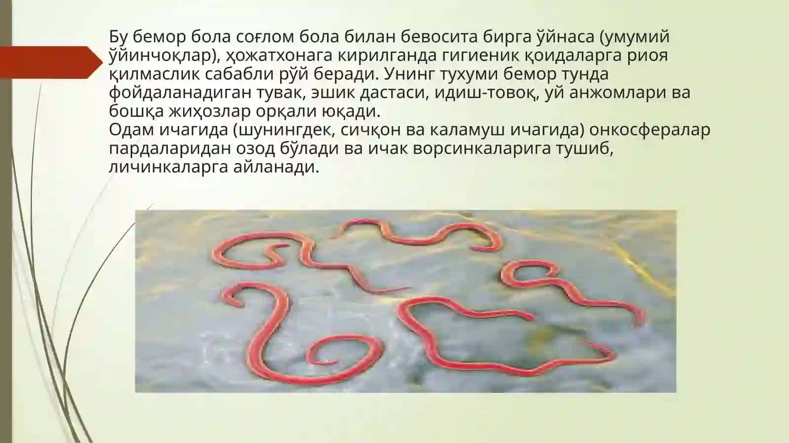 Gijjalar haqida umumiy ma’lumot.’’Pakana gijja’’ 4