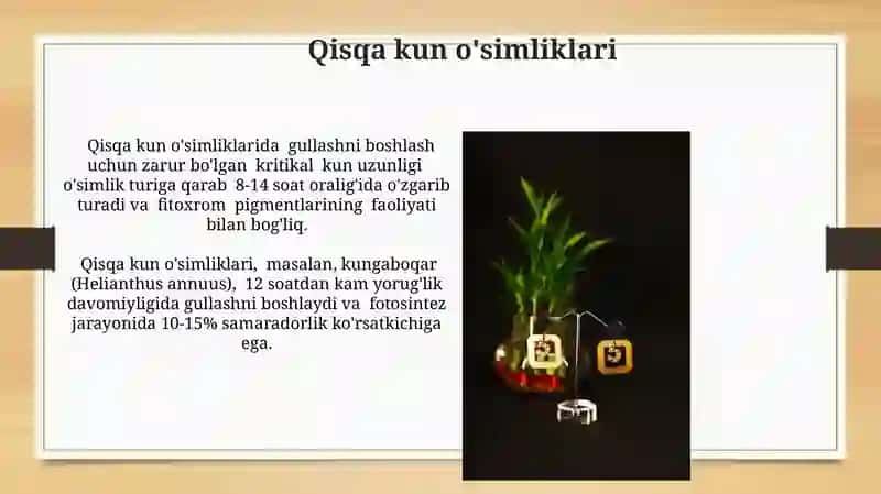 Fotoperiodizm tushunchasi va Biologik soatlar 4