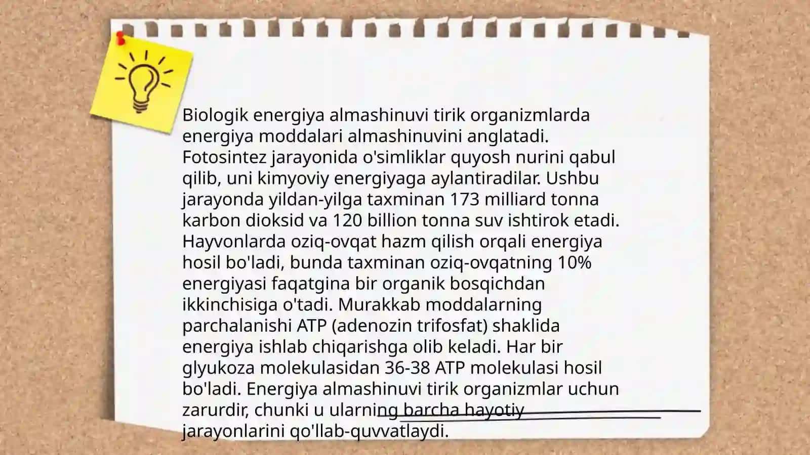 Bioenergetika 4