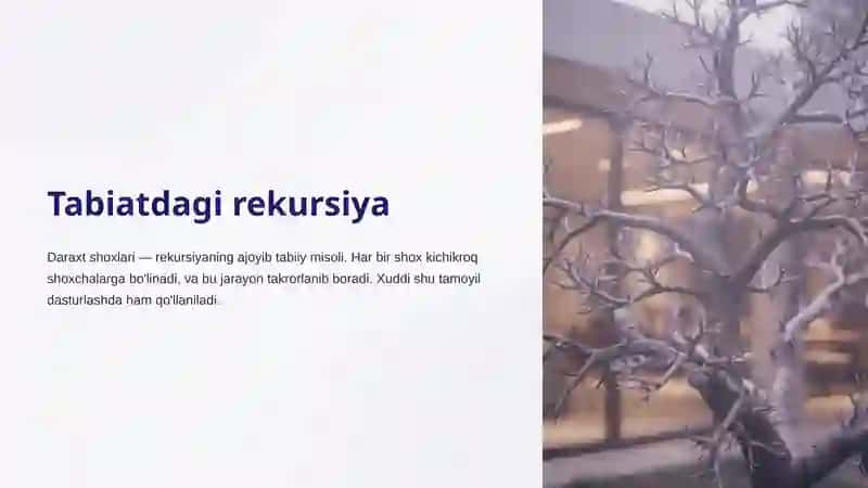 Rekursiya va uni dasturlashda ishlatish 4