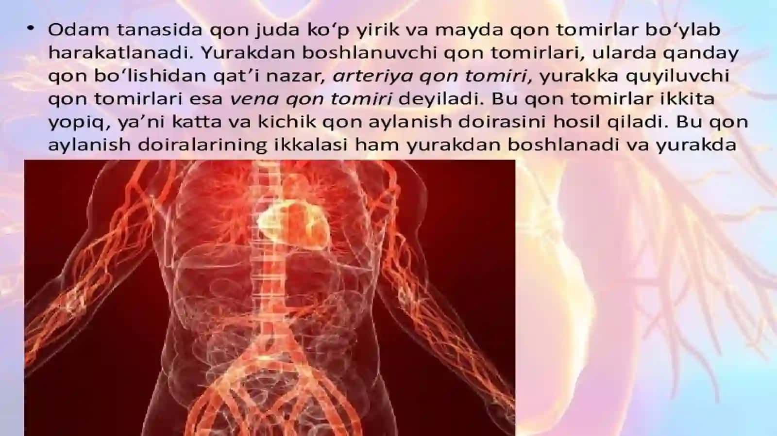 QON TOMIRLARNING TUZILISHI. QON AYLANISH DOIRASI 4