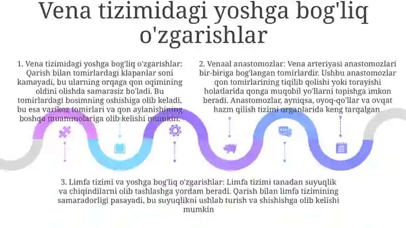 Vena Tizimi Va Uning Yoshga Qarab O'Zgarishi 4