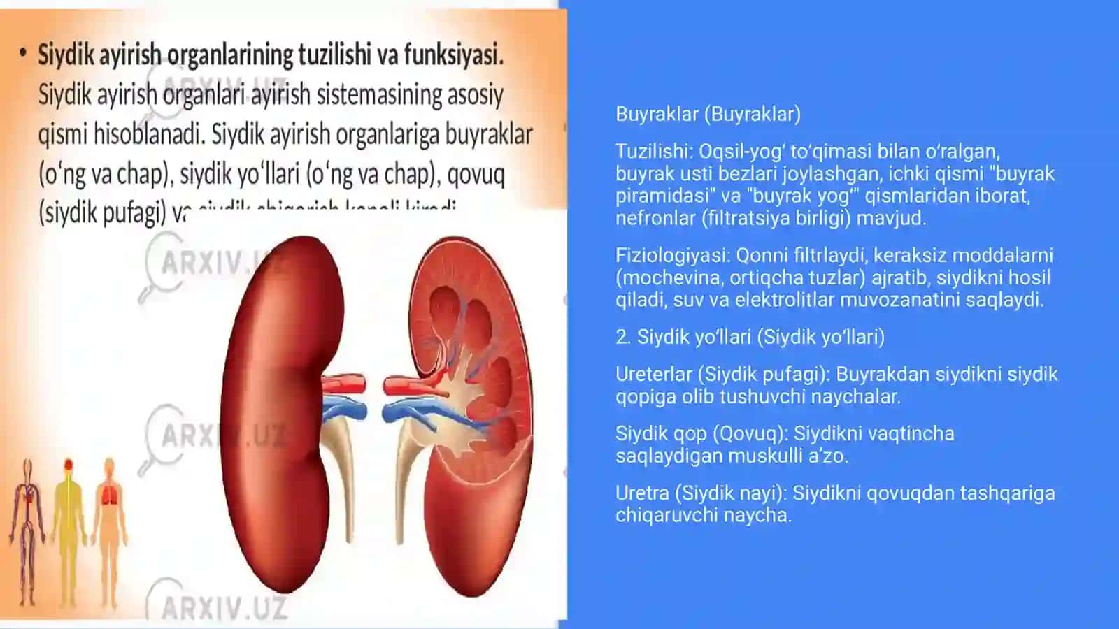 Koʻp Tarmoqli Tibbiyot Texnikumi 4