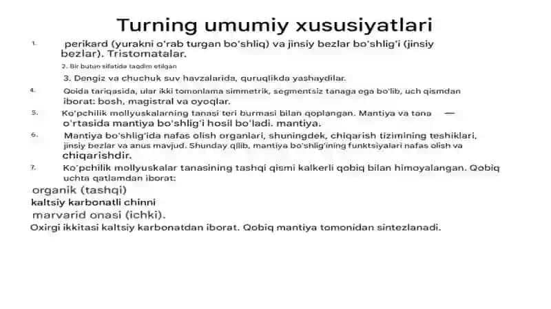 moluskalar tipi haqida ma'lumot 4