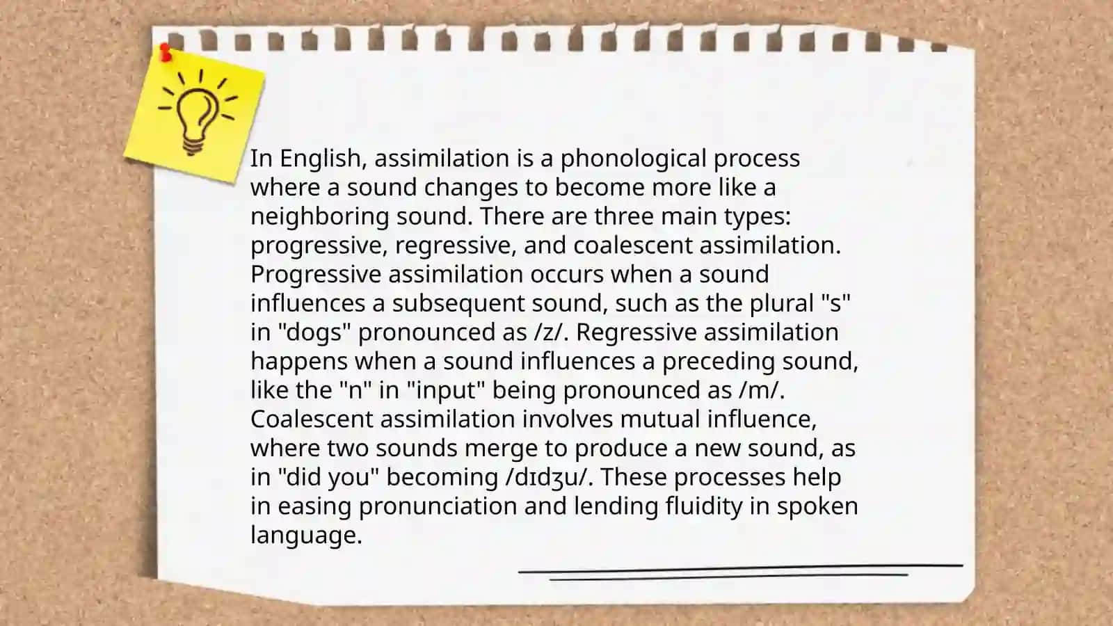 Assimilation and elision 4