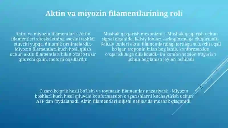 Mushak Qisqarishining Mexanizmi 4