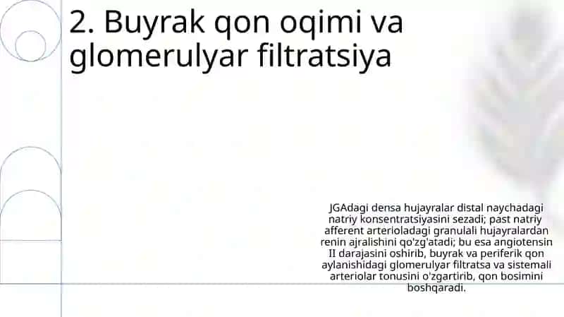 Arterial bosimning boshqariluvida buyraklarning roli 4