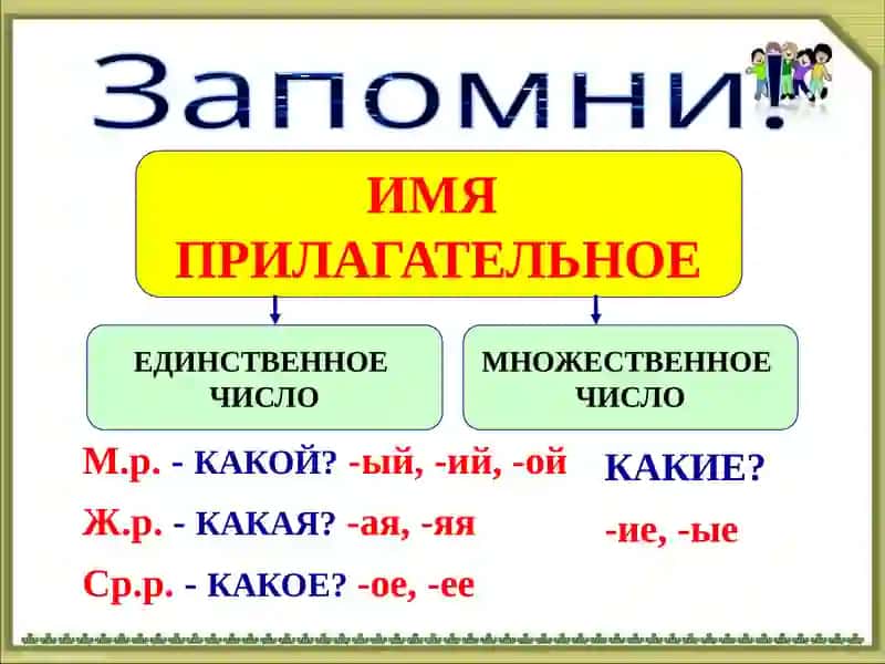 Склонение прилагательных 4