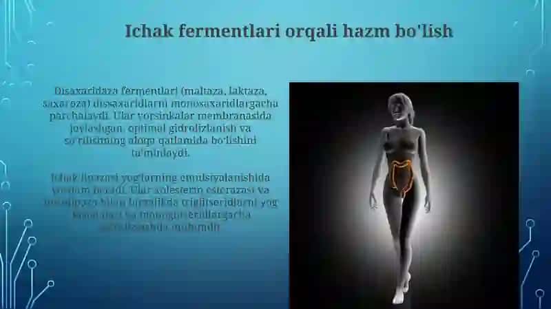 Safro suyuqligi va uning o'ziga xos xususiyatlar 4