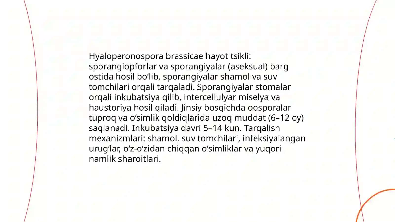 Karam ekinlarida uchraydigan zamburugʻli kasalliklarning biologik xususiyatlari va tarqalish omillari 4