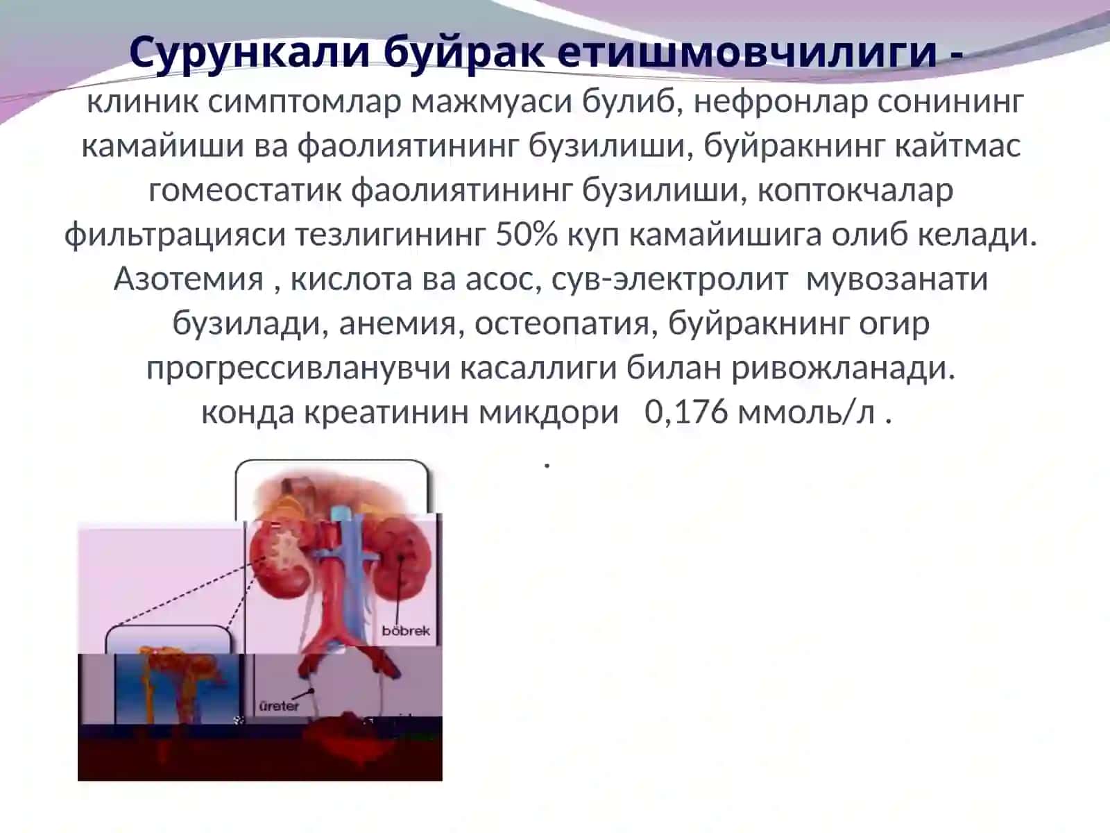 Сурункали буйрак 4