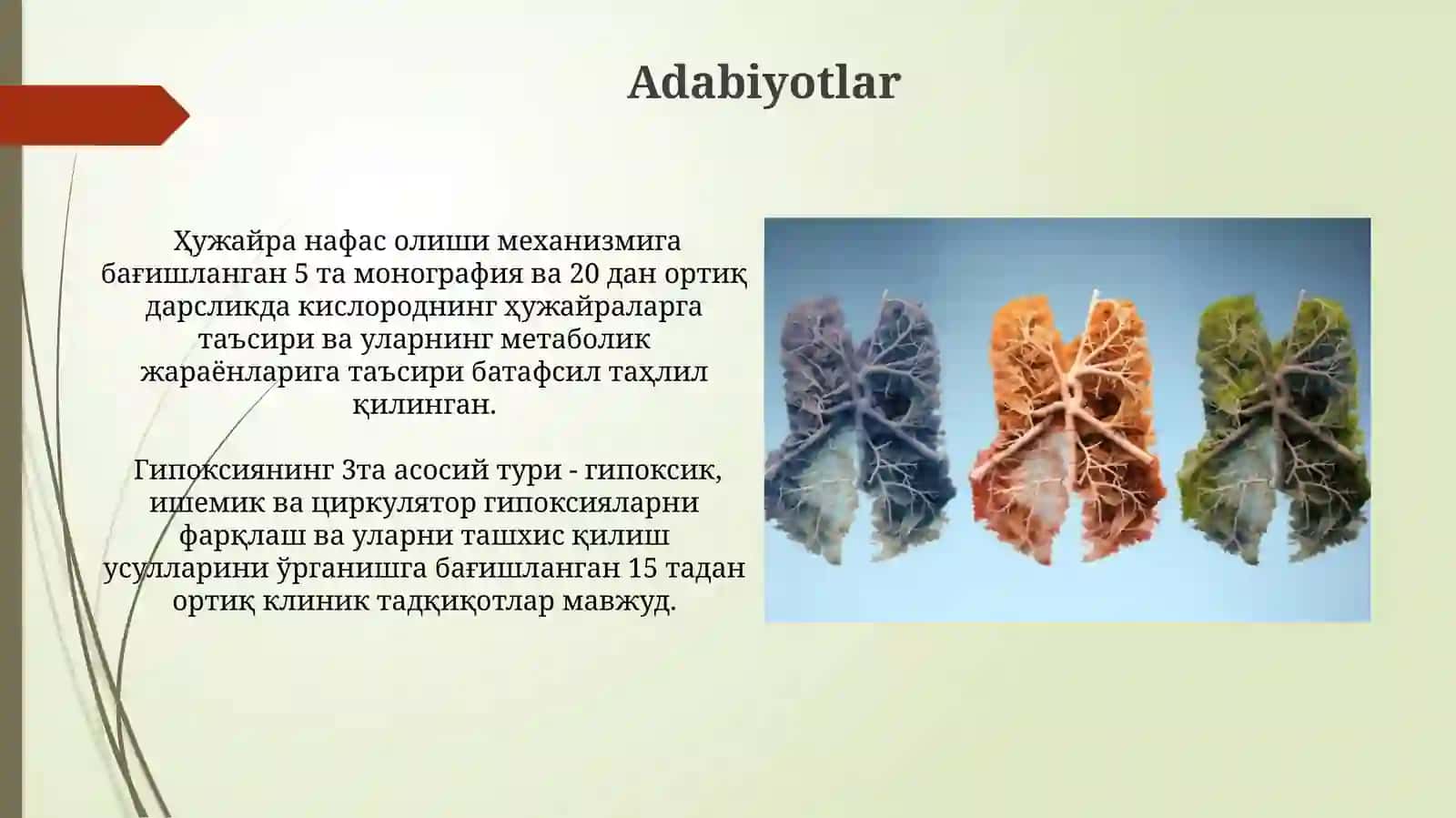 Nafasning patologik turlari. Toʻqimadagi nafasi. Gipoksiya uning turlari 4