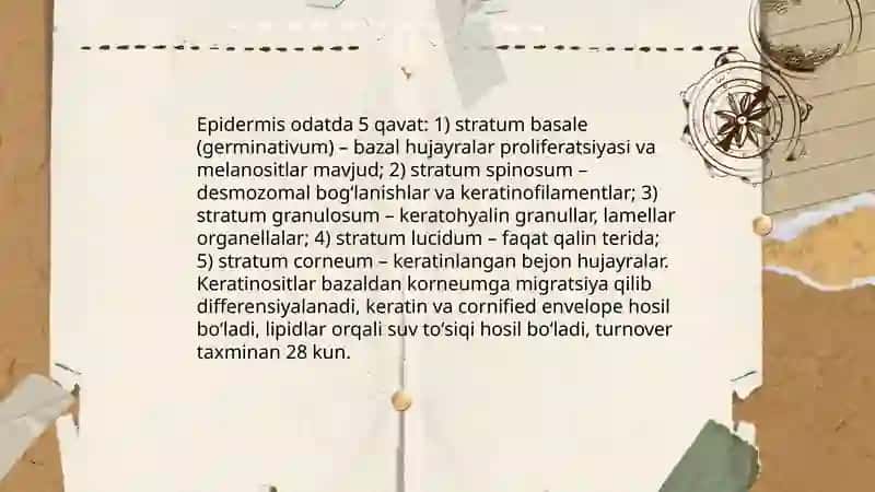 Teri qoplami va uning hosilalarini oʻrganish 4