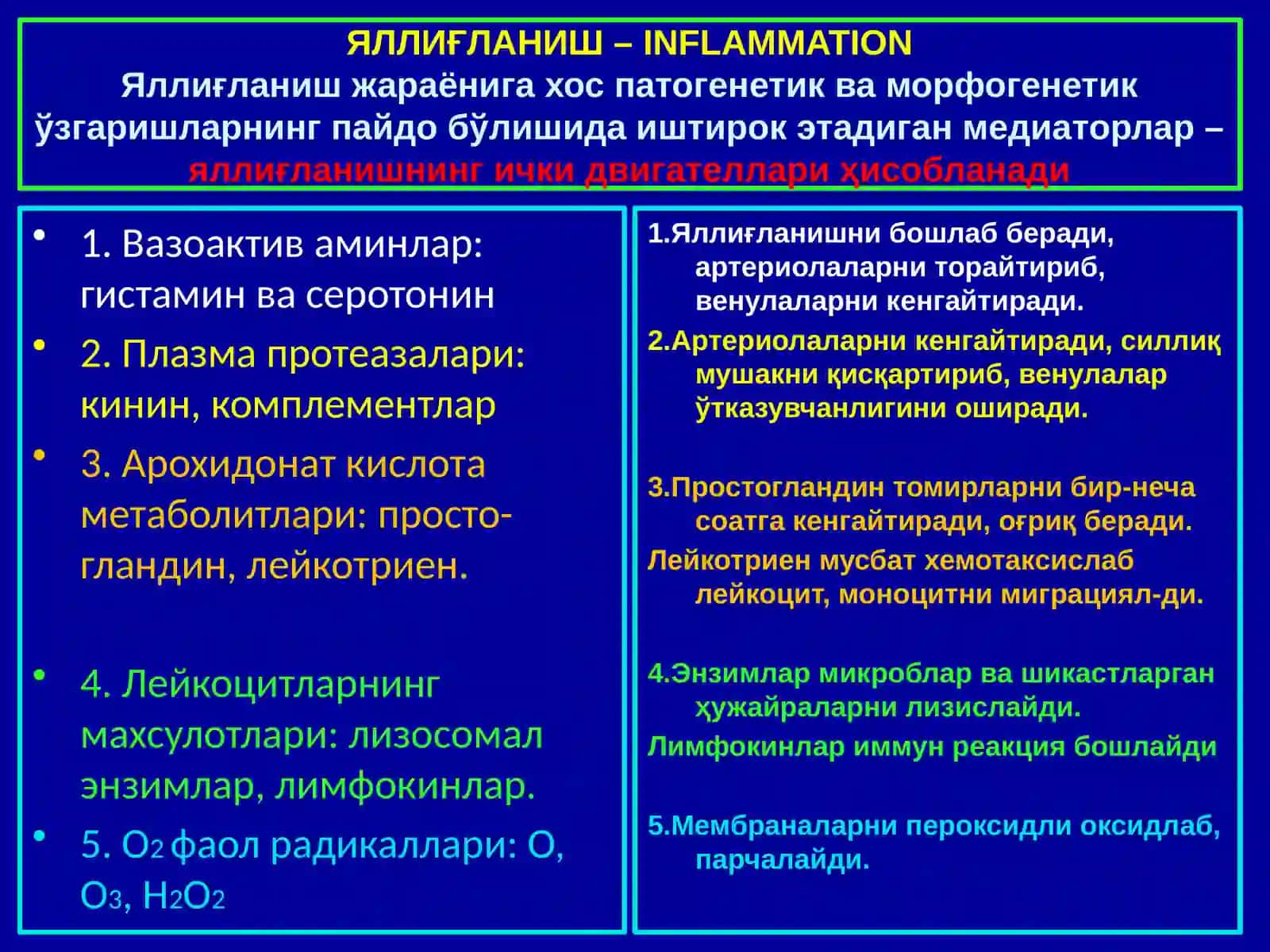 Яллиғланиш 4