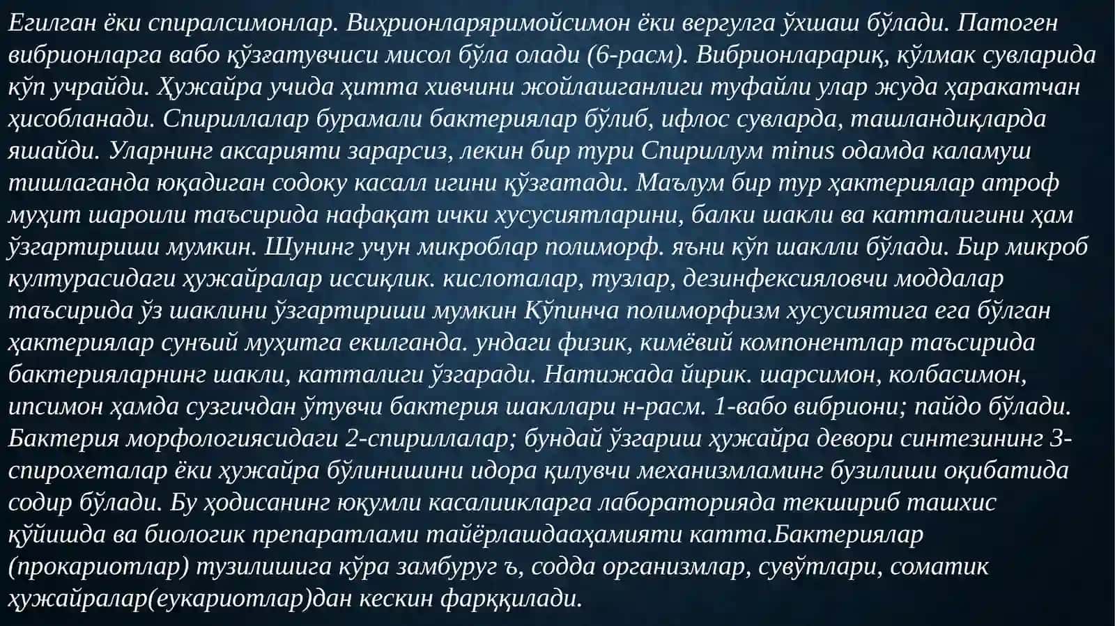 Бактериялар морфологияси ва тузилши 4