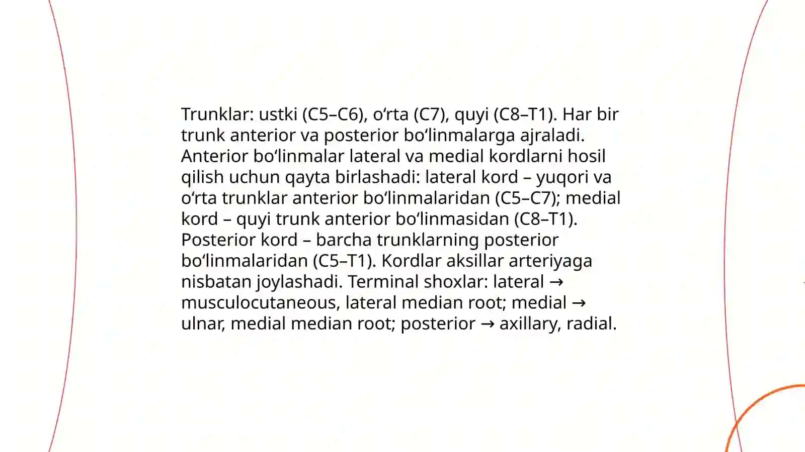 Yelka chigali (plexus brachialis) 4