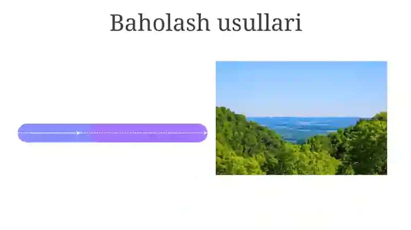 Davlat Ta'lim Standartlari 4