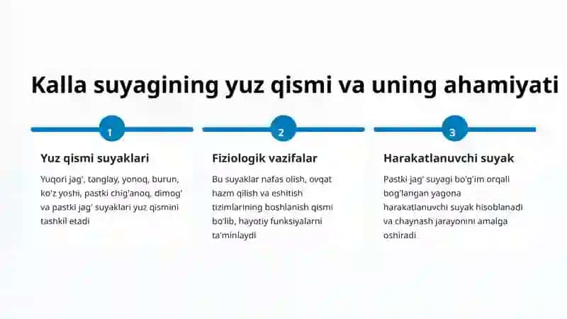 Bosh suyagi: Miya qismi anatomiyasi 4