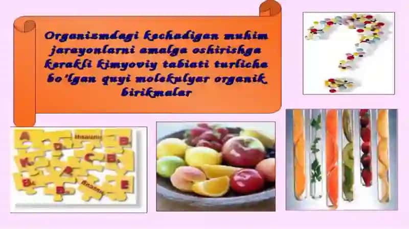 N.I. Luning hayvon organizmi vitaminlar siz yashay olmasligini aytgan 4