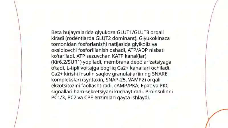 Qandli diabet tiplaring fiziologik asoslari 4