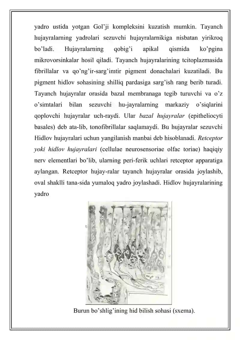 Xid bilish,og’riq idroki 4