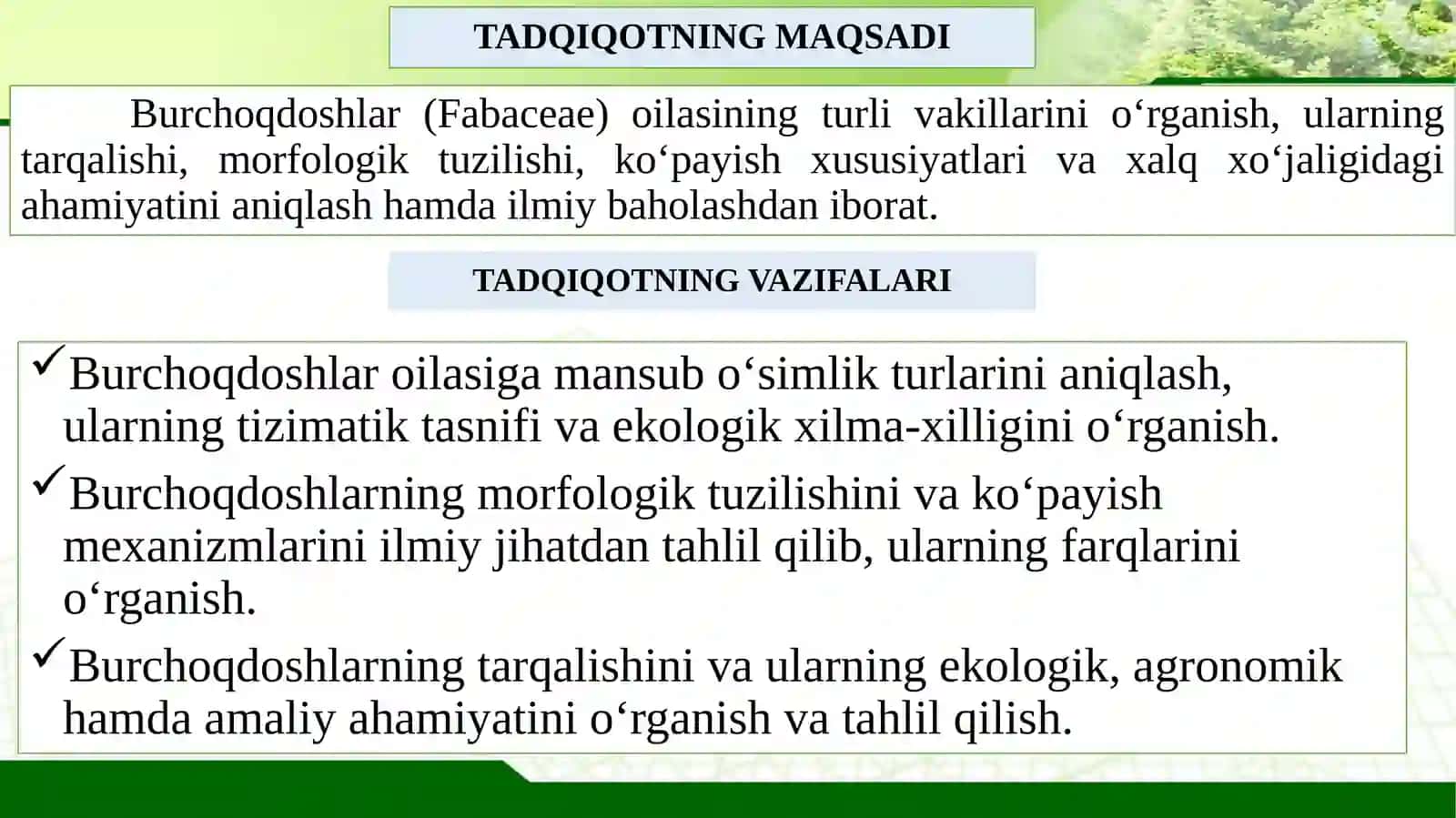 Burchoqdoshlar (Fabacea) oilasi, vakillari ,tarqalishi ,tuzilishi,koʻpayishi, ahamiyati 4