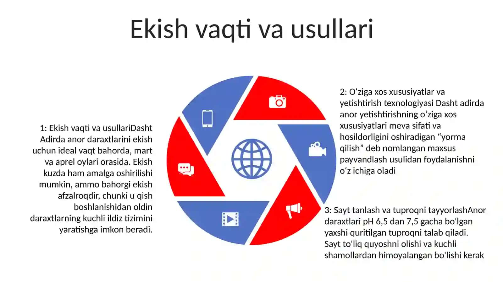 Dasht Adir Joylarda Anorzor Barpo Qilishning O'Ziga Xos Xususiyatlari Va Yetishtirish Texnologiyasi 4