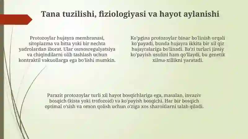 Parazit protozoa 4