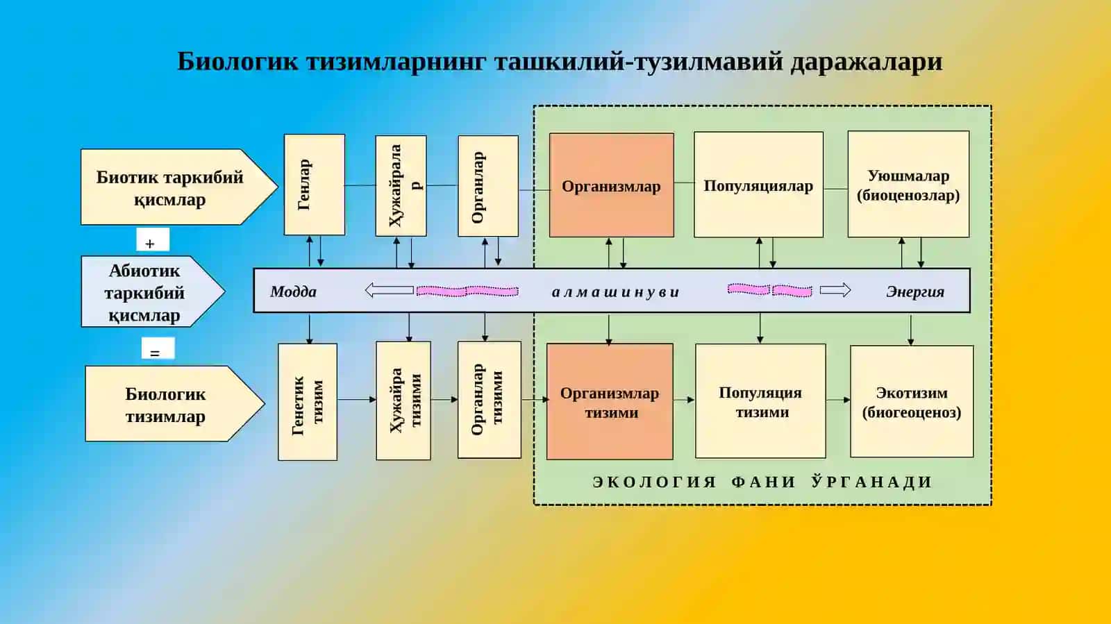 Организмвамуҳит 4