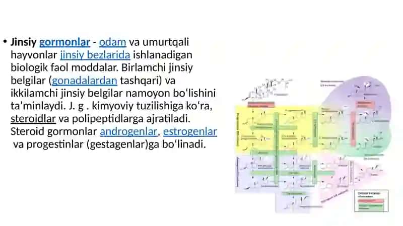 Jinsiy siklning gormonal boshqariluv mexanizmi 4