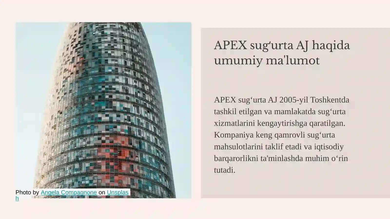 APEX INSURANCE AJ 4