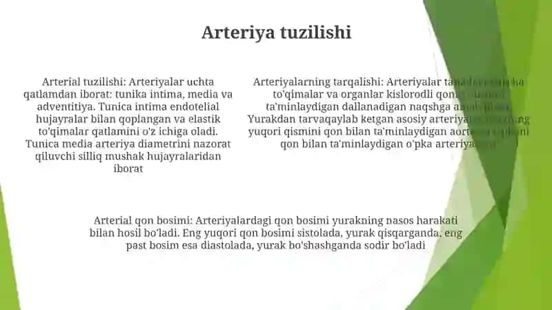 ArteriyalarningTarqalishQonuniyatlari 4
