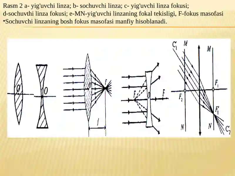 Linzalar 4