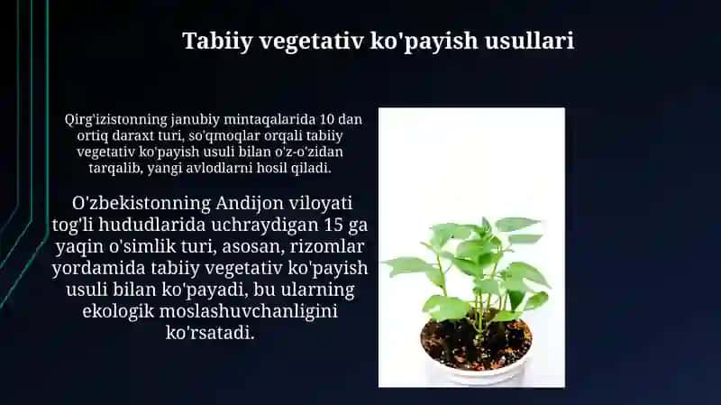 Oʻsimliklarning vegetativ koʻpayishi mavzusida taqdimot 4
