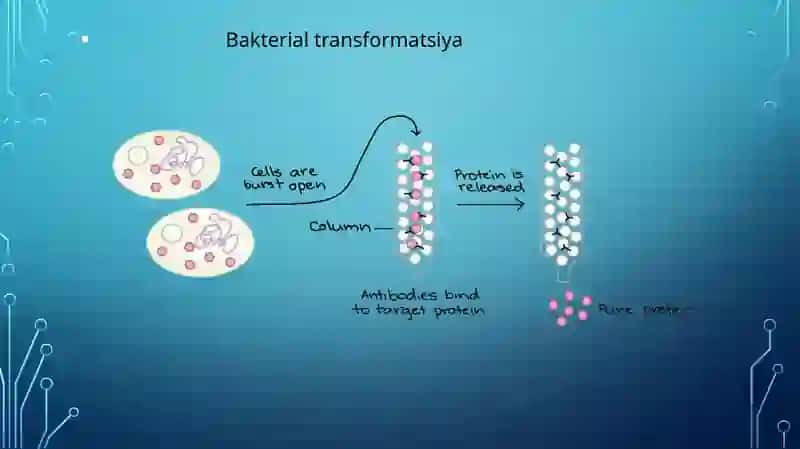 Biologik ashyoni bakterial kontaminasiyasini biokimyoviy usulda aniqlash.Hirurgik,akusher-ginekologik va unga yondosh bo'lgan bo'limlarni sanitar bakteriologik tekshirish va baho berish 4