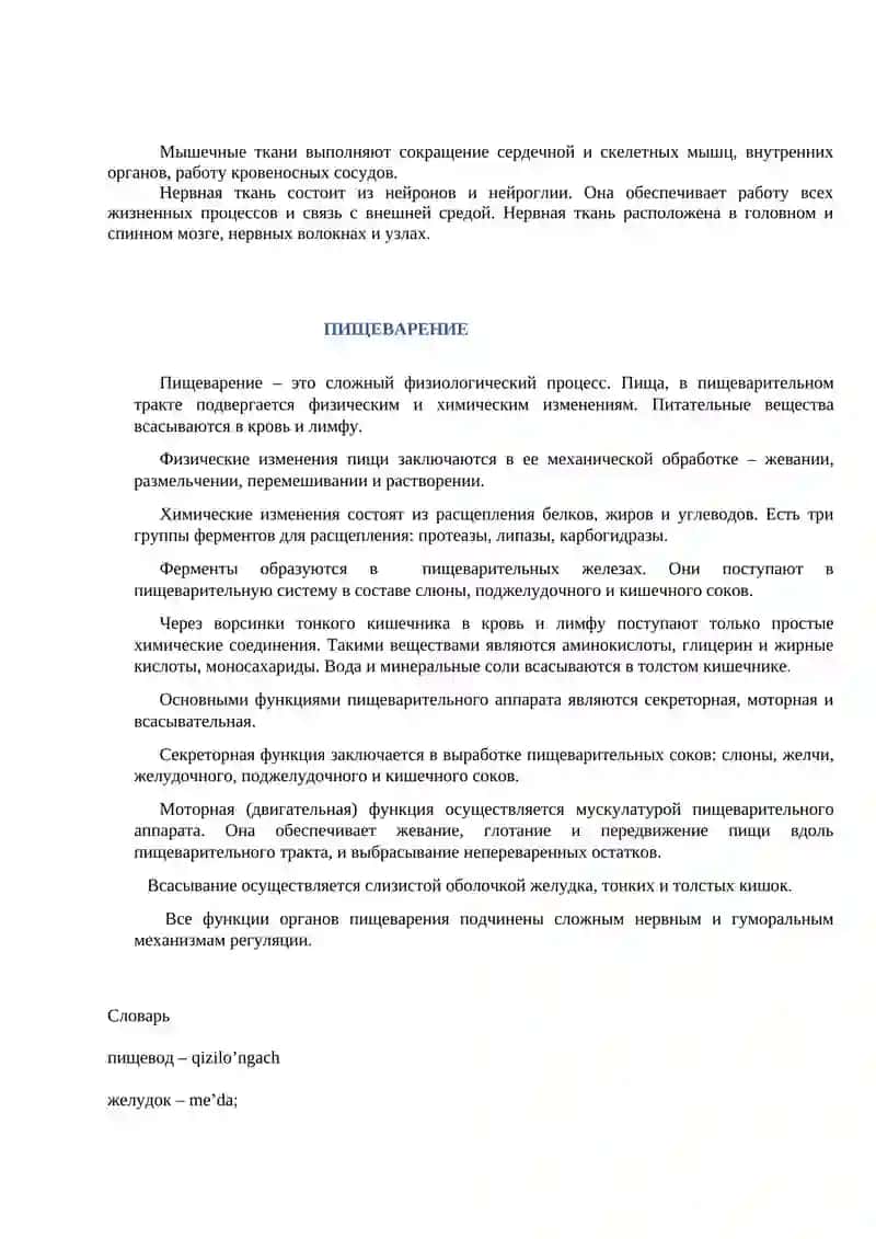 День Независимости Республики Узбекистан 4