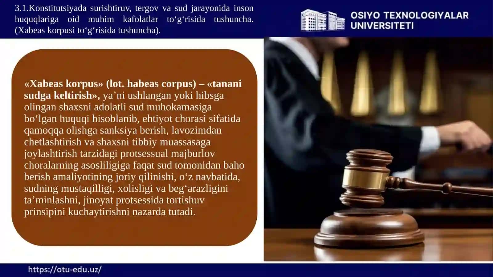 Konstitutsiyada Surishtiruv, Tergov va Sud Jarayonida Inson Huquqlariga oid Muhim Kafolatlar 4